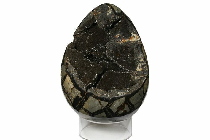 Septarian Dragon Egg Geode - Black Crystals #124467